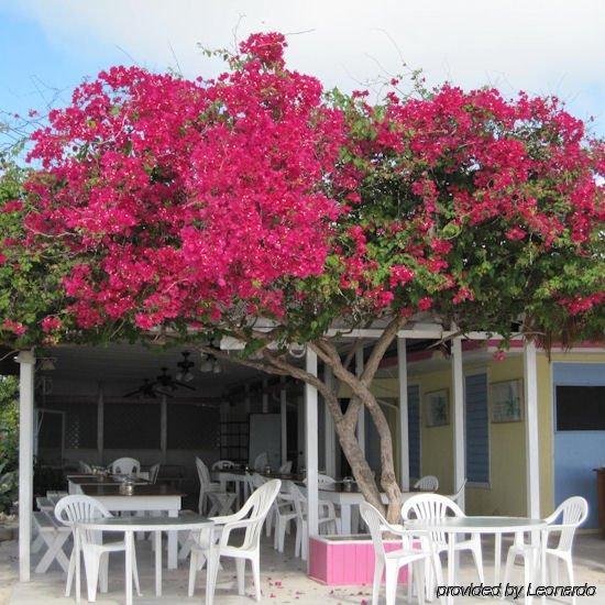 Anegada Reef Hotel The Settlement 레스토랑 사진