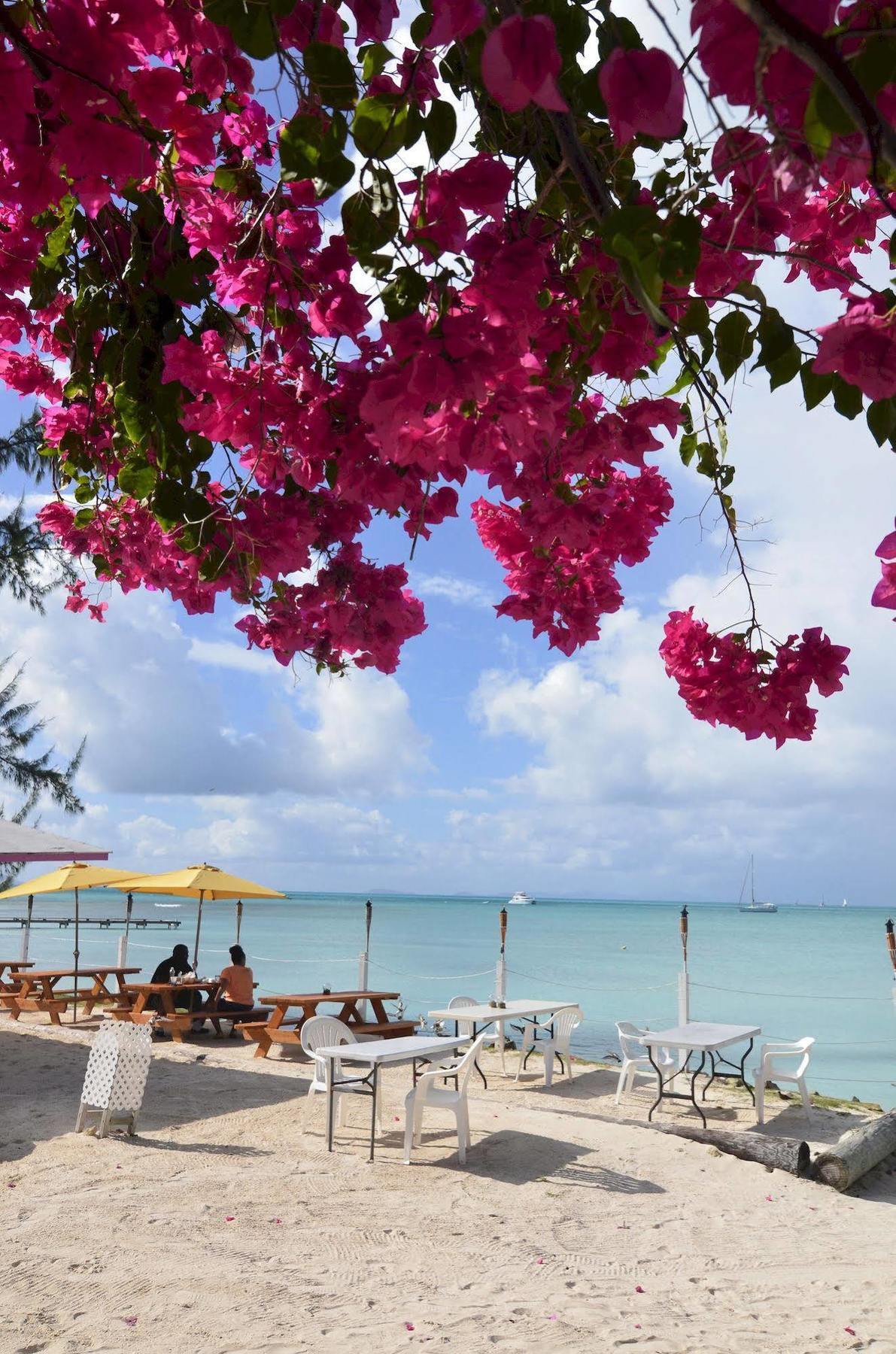 Anegada Reef Hotel The Settlement 외부 사진