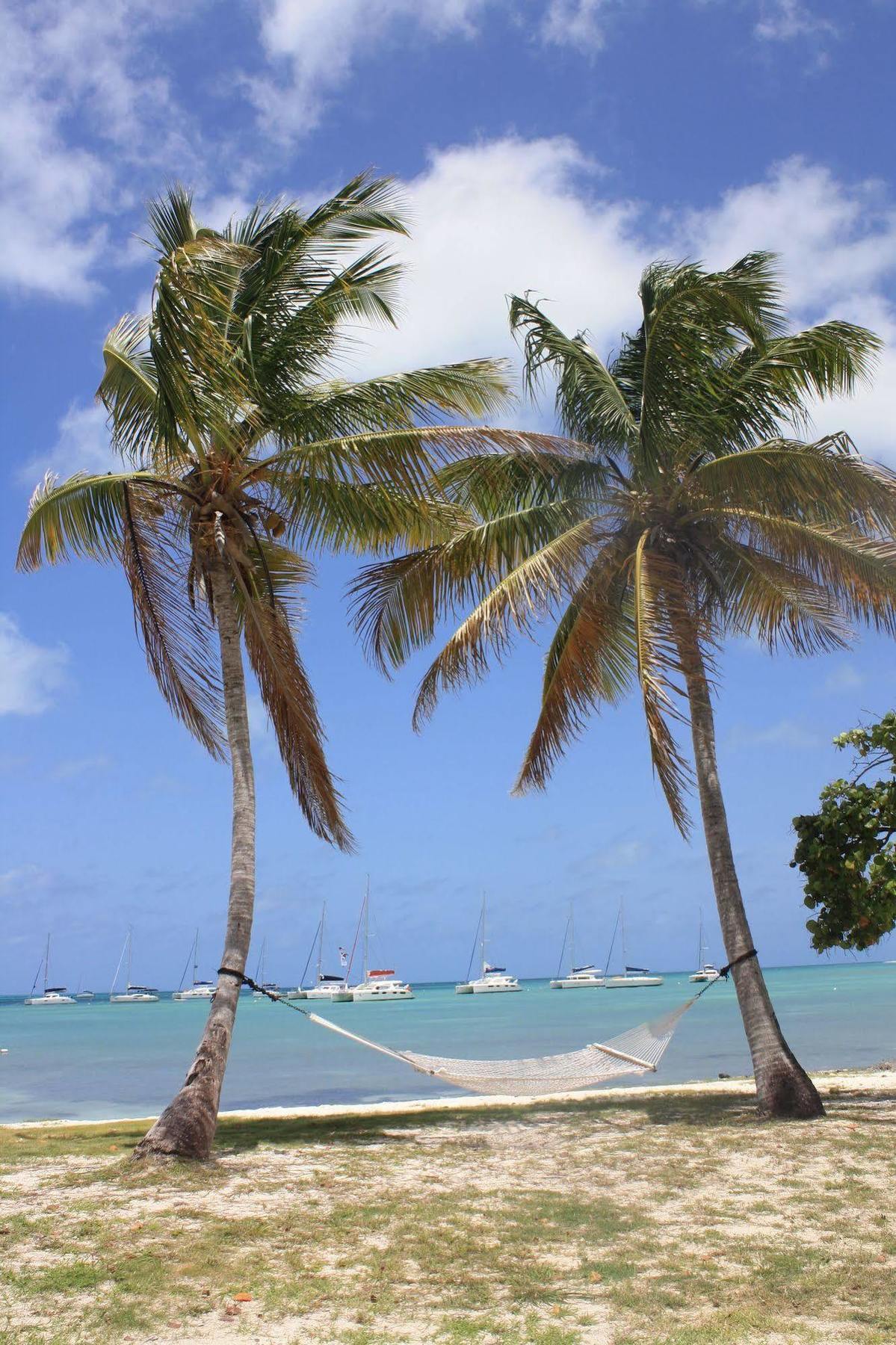 Anegada Reef Hotel The Settlement 외부 사진